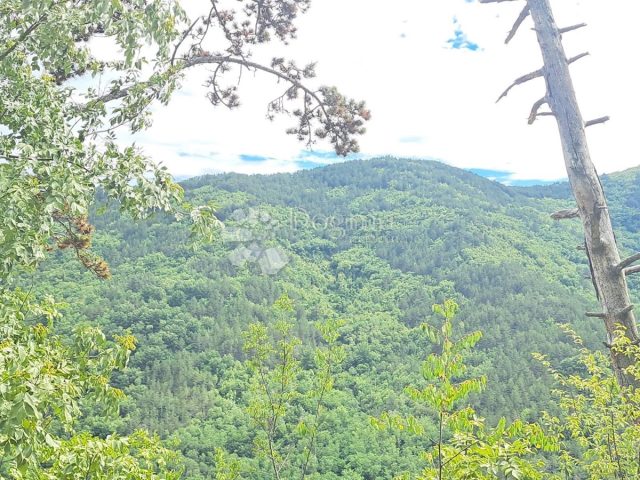 Parcela Naprodaj - Istarska Buzet - foto 3/5