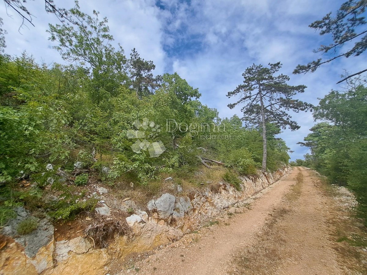 Land For sale - ISTARSKA BUZET