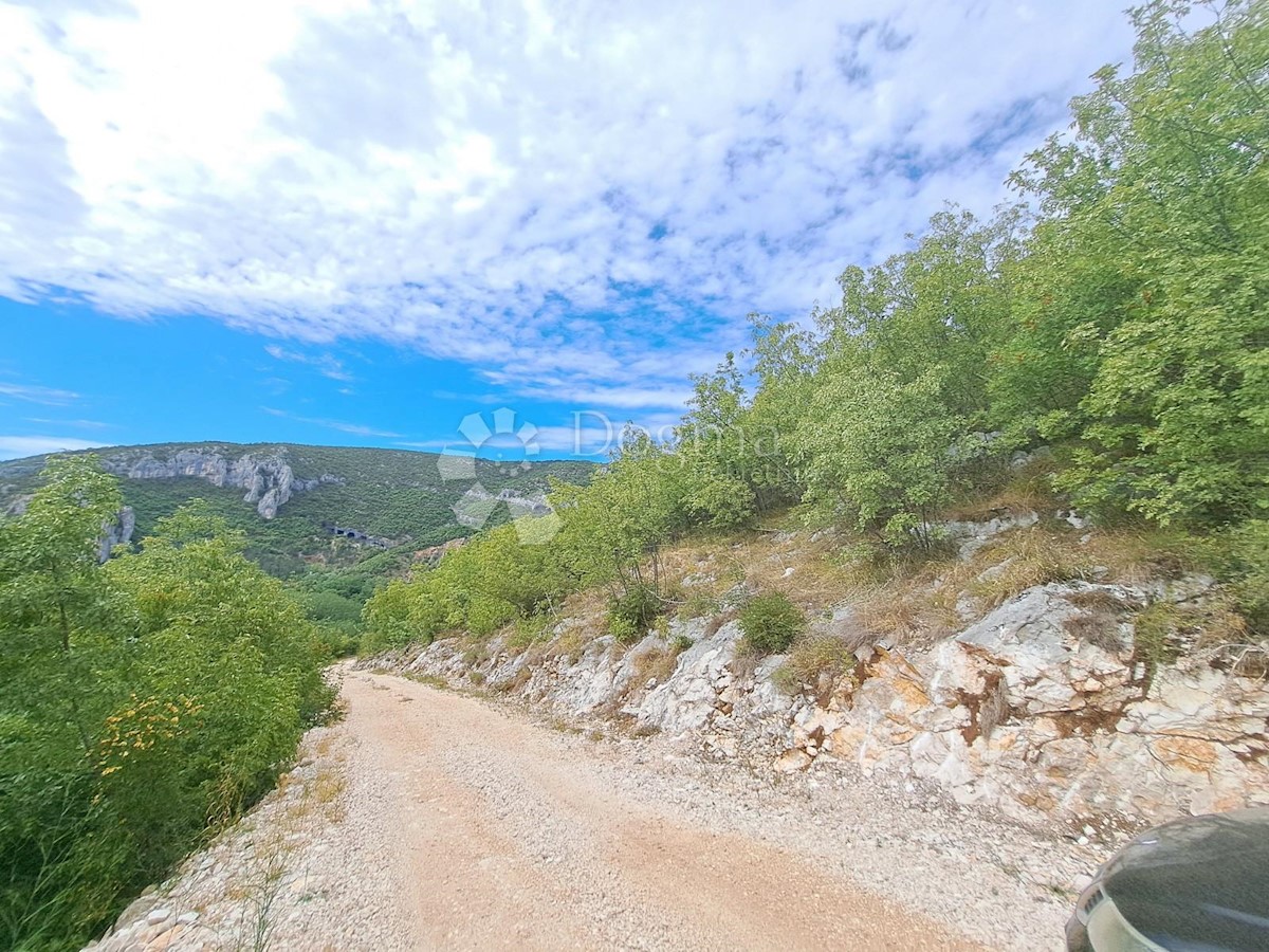 Land For sale - ISTARSKA BUZET