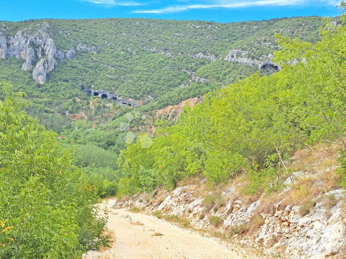 Land For sale - ISTARSKA BUZET