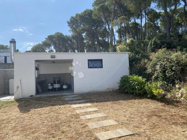 Maison À vendre - Zadarska Pašman - foto 4/11