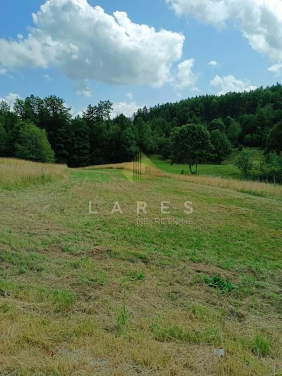 Land For sale - PRIMORSKO-GORANSKA RAVNA GORA