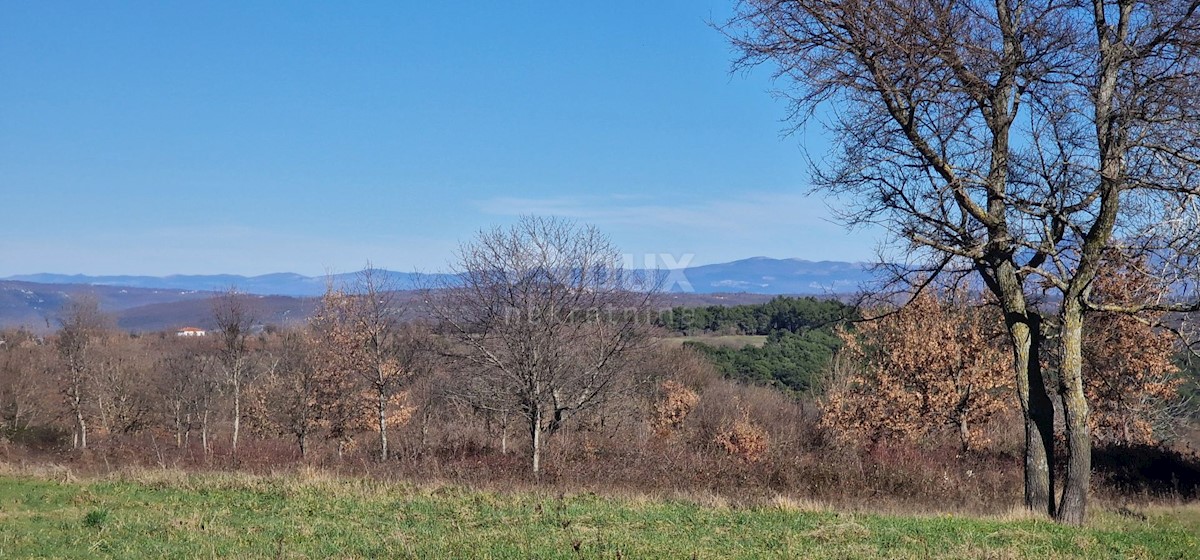Terreno In vendita - Istarska Barban - foto 2/12