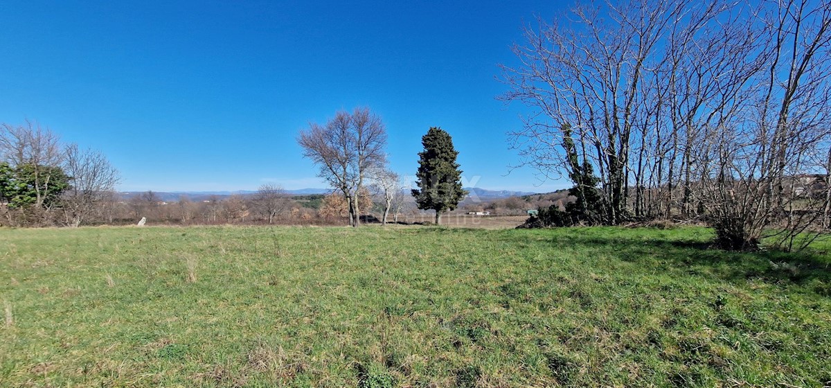 Terreno In vendita - ISTARSKA BARBAN