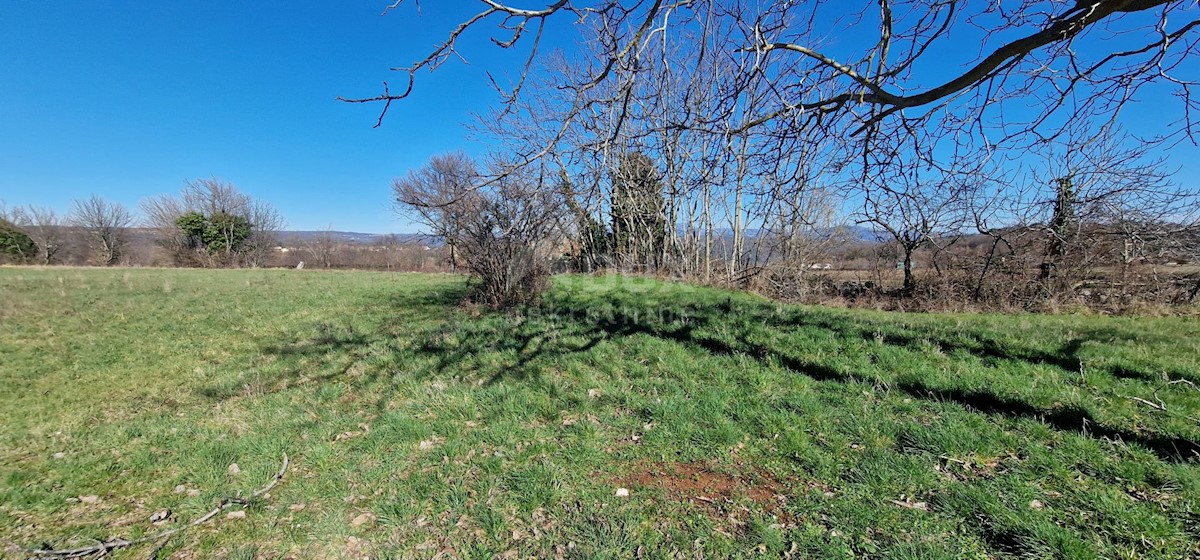 Terreno In vendita - ISTARSKA BARBAN