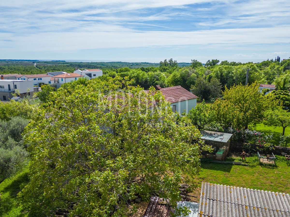 Appartamento In vendita - Istarska Poreč - foto 1/19