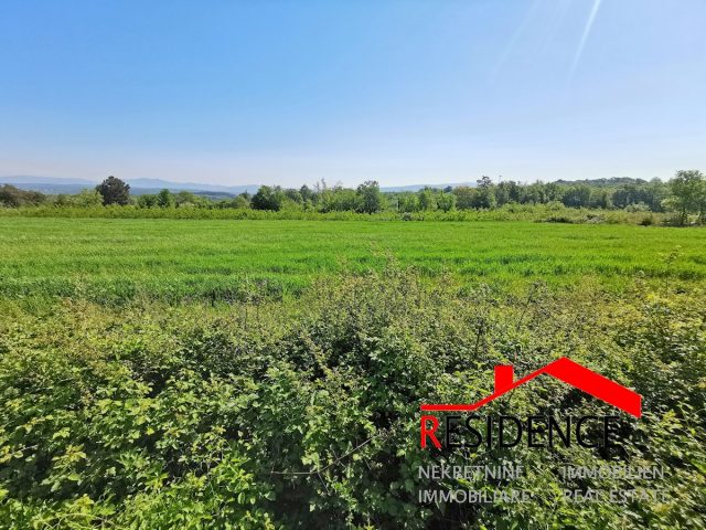 Terrain à vendre 6270 m² – Barban
