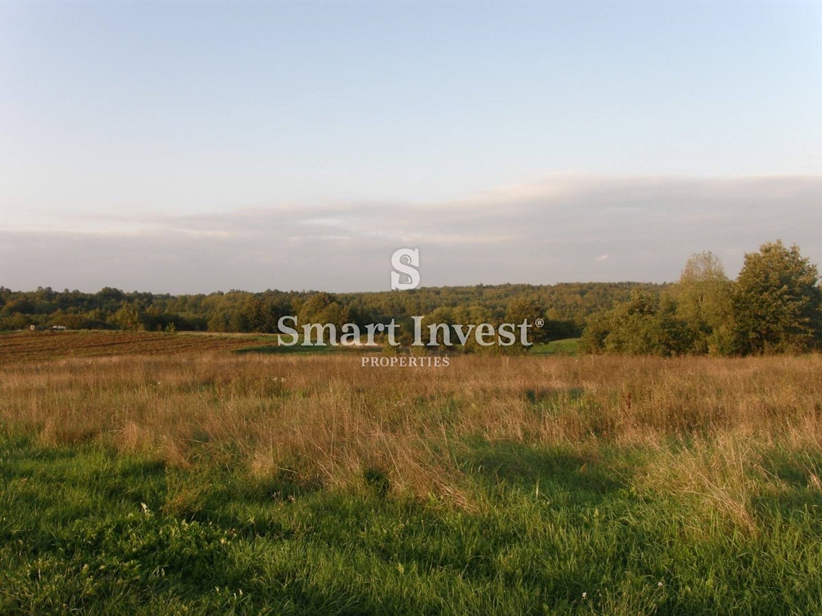 Land For sale - ISTARSKA GRAČIŠĆE