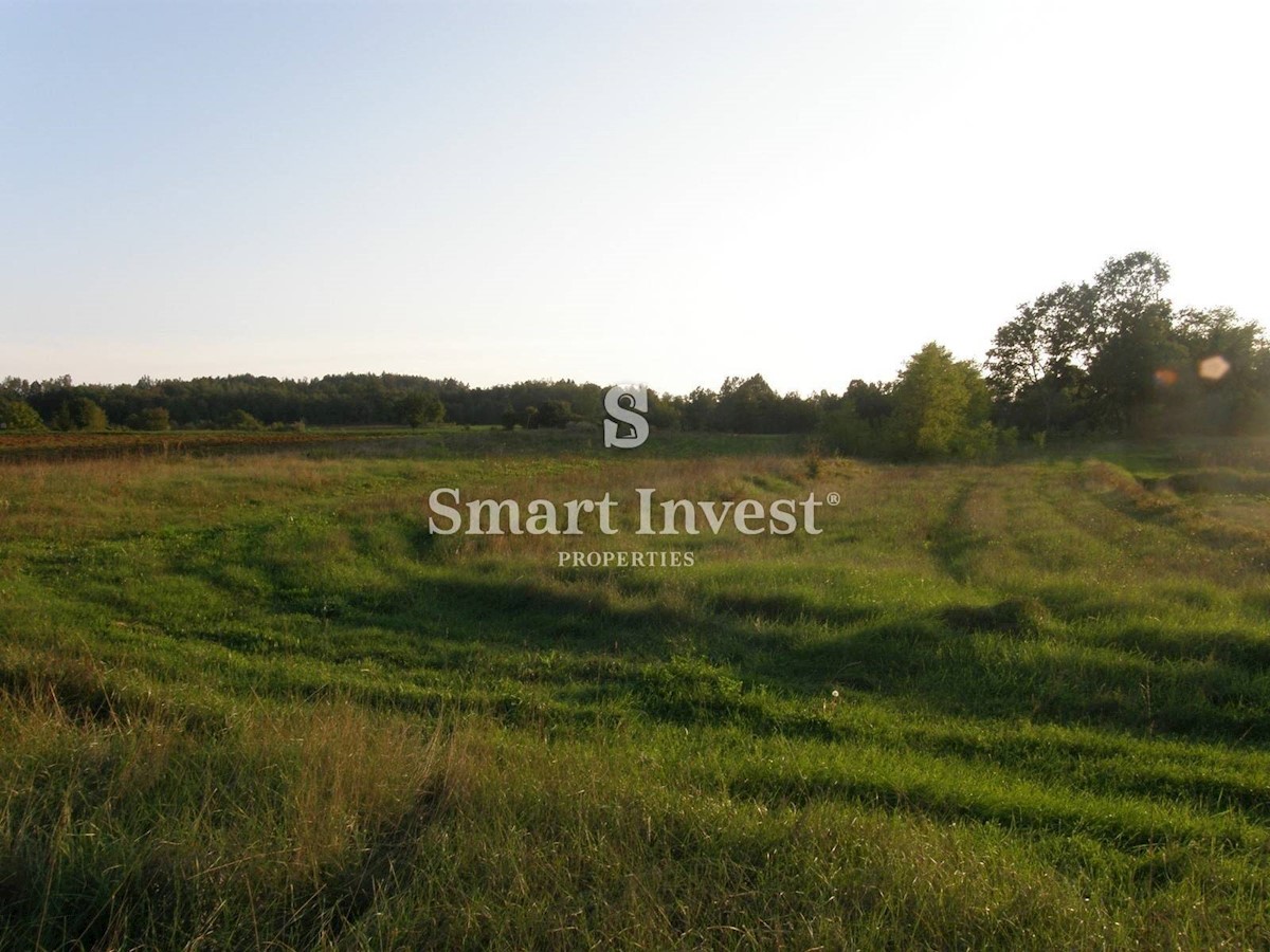 Land For sale - ISTARSKA GRAČIŠĆE