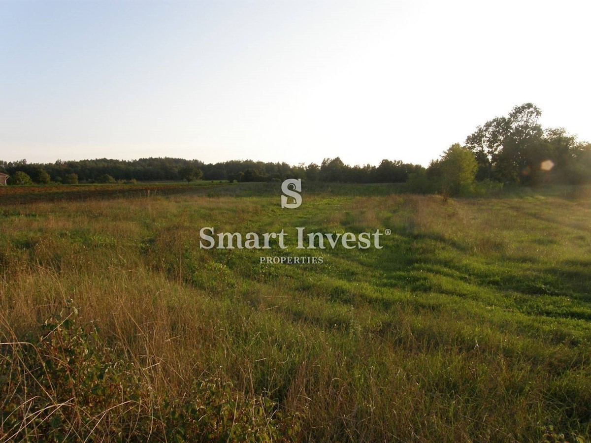 Land For sale - ISTARSKA GRAČIŠĆE