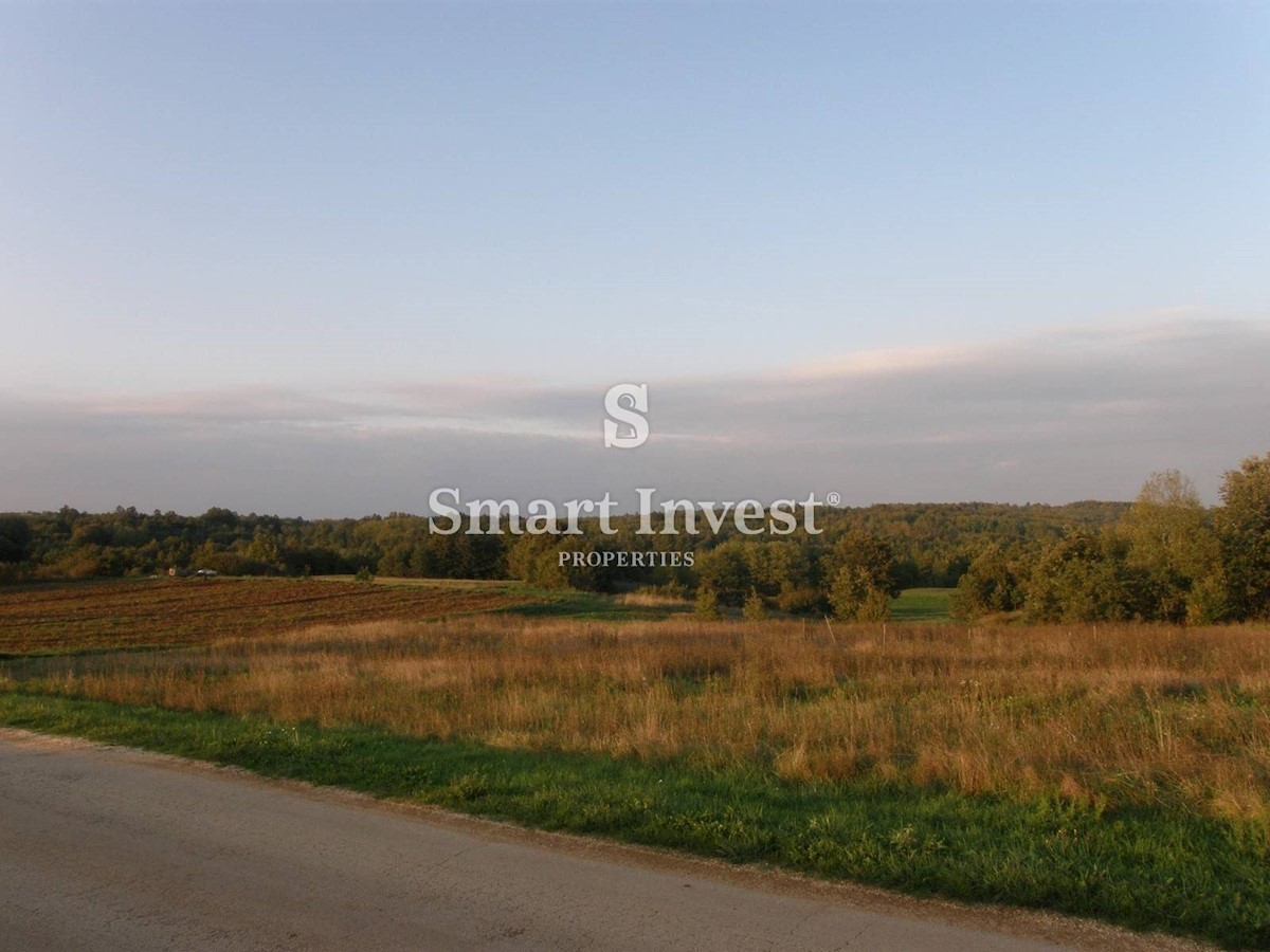 Land For sale - ISTARSKA GRAČIŠĆE