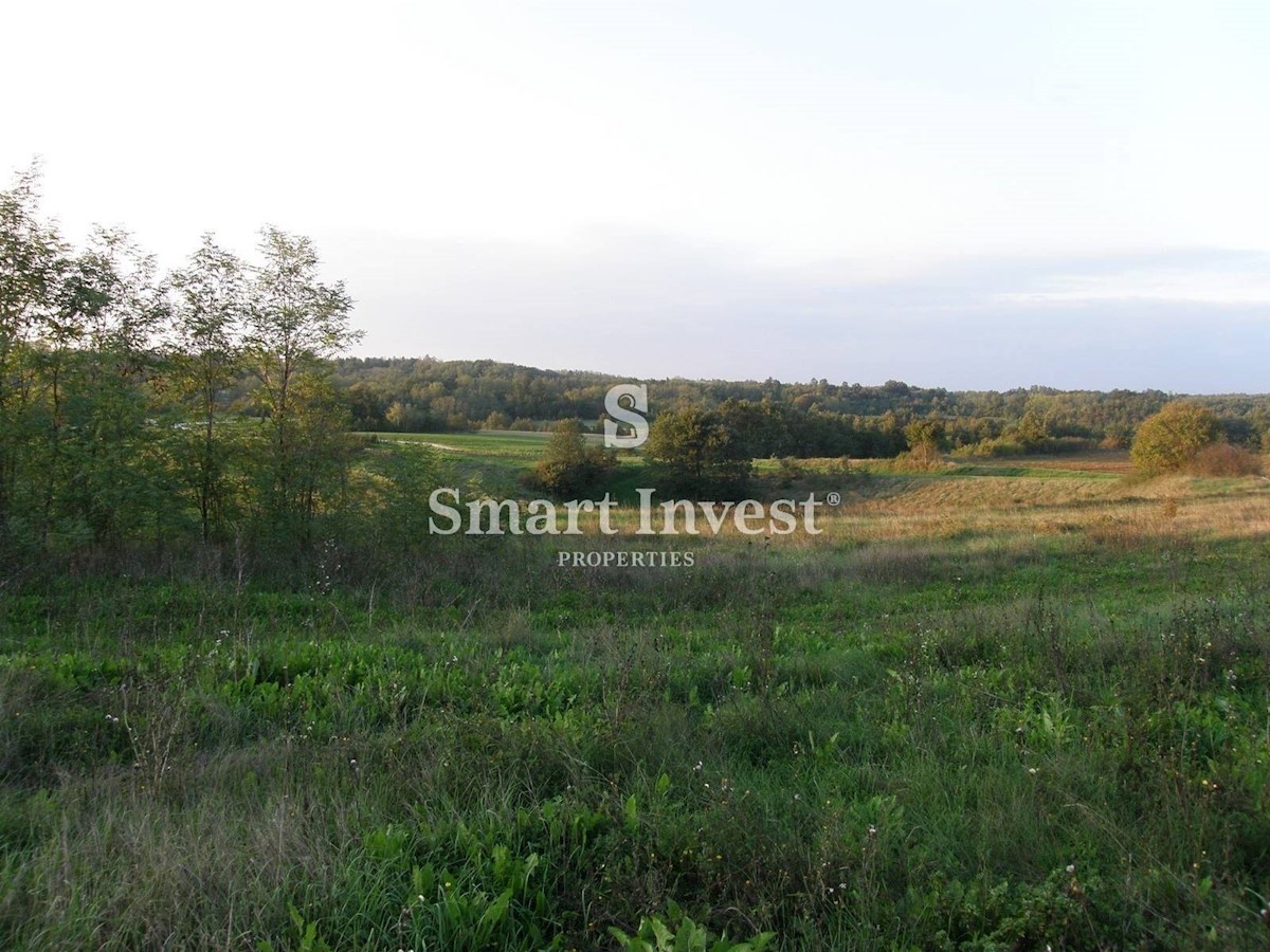 Land For sale - ISTARSKA GRAČIŠĆE