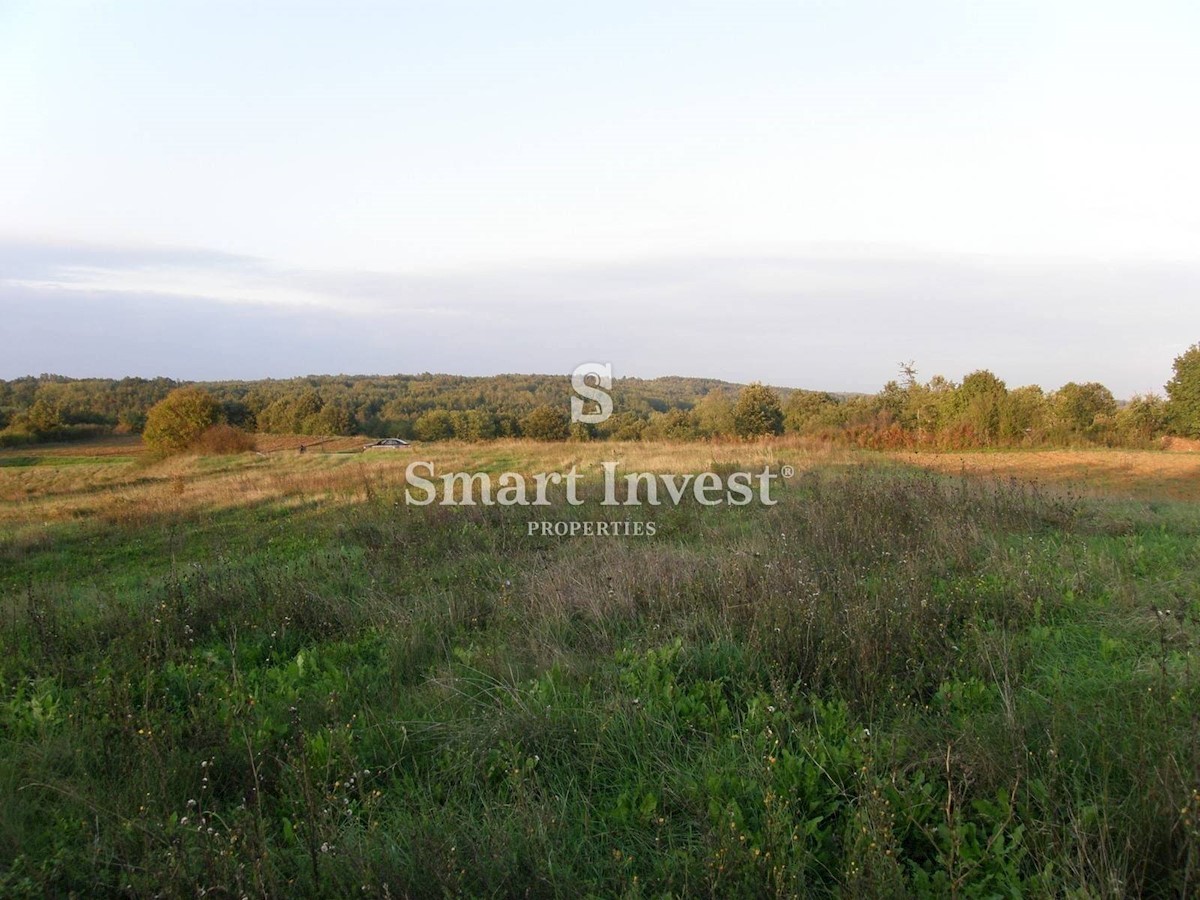 Land For sale - ISTARSKA GRAČIŠĆE