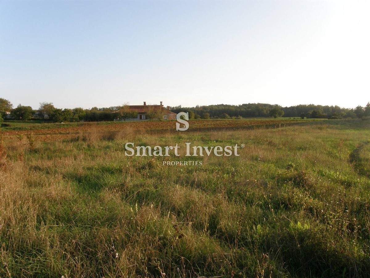 Land For sale - ISTARSKA GRAČIŠĆE