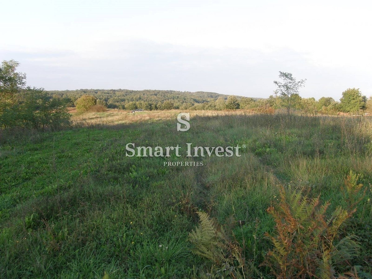 Land For sale - ISTARSKA GRAČIŠĆE