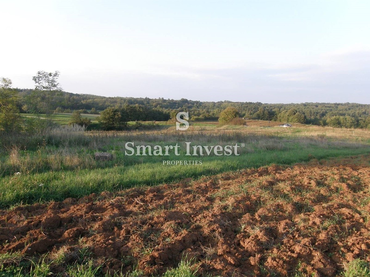 Land For sale - ISTARSKA GRAČIŠĆE