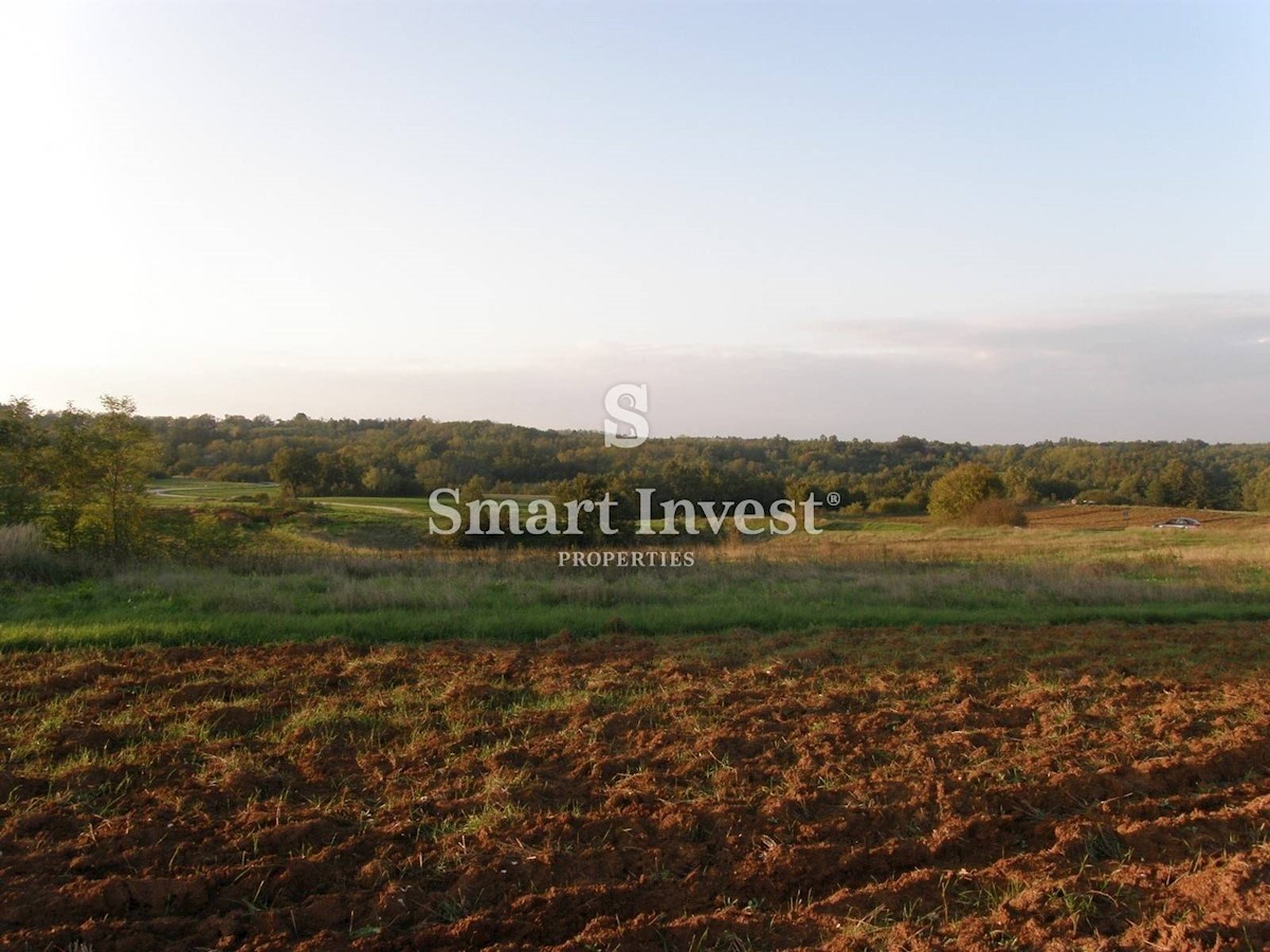 Land For sale - ISTARSKA GRAČIŠĆE