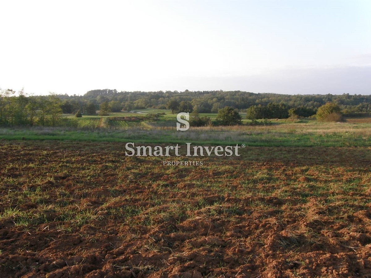 Land For sale - ISTARSKA GRAČIŠĆE