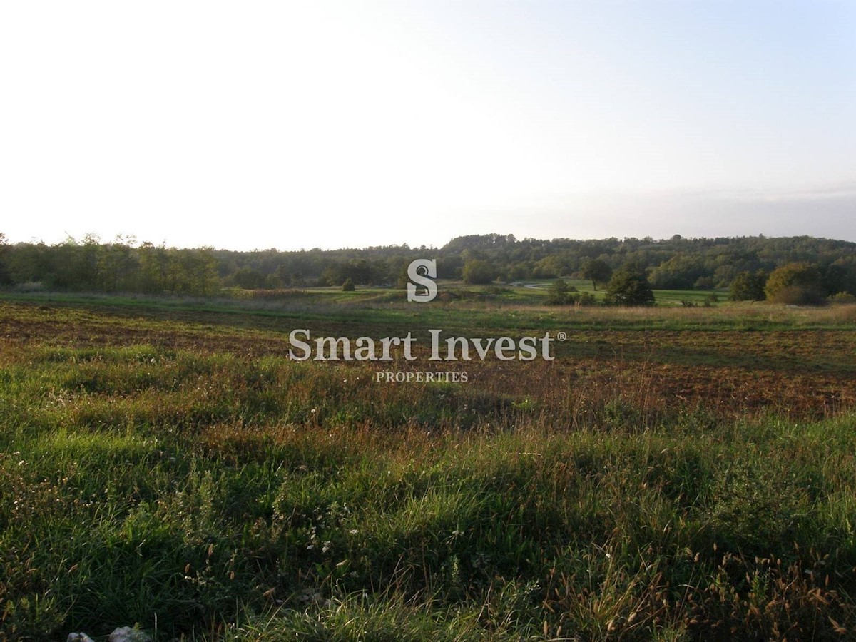 Land For sale - ISTARSKA GRAČIŠĆE