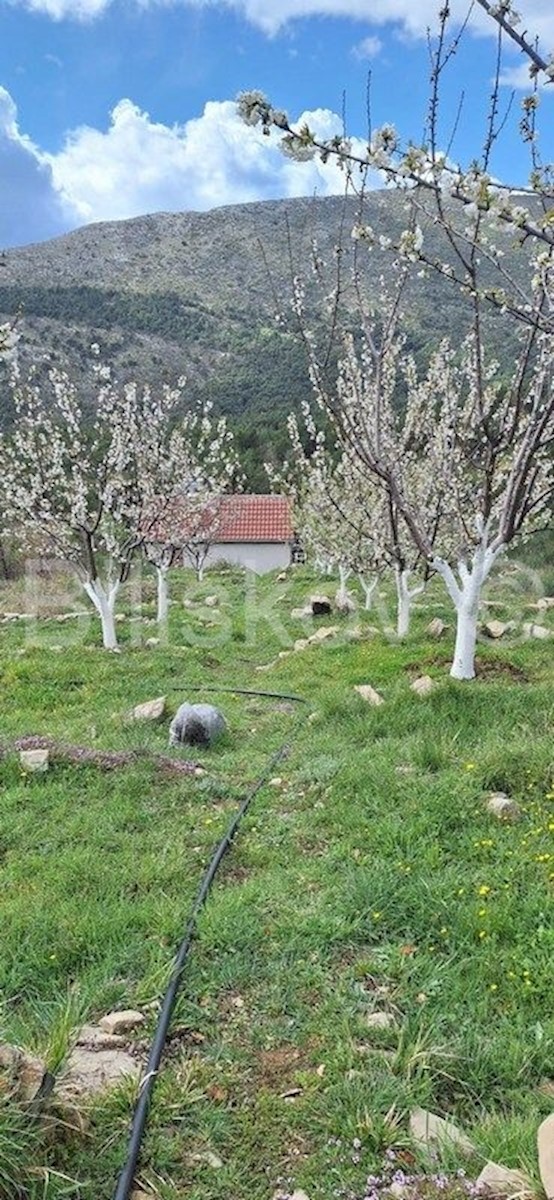 Pozemok Na predaj - SPLITSKO-DALMATINSKA OMIŠ