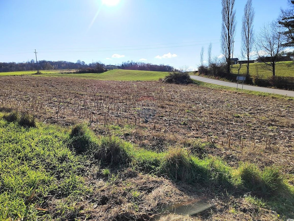 Terreno In vendita - KARLOVAČKA BARILOVIĆI