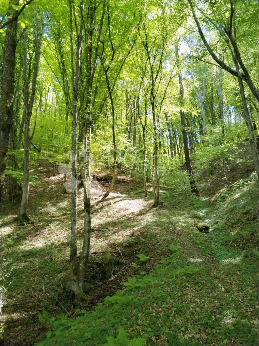 Kuća Na prodaju - KARLOVAČKA KARLOVAC