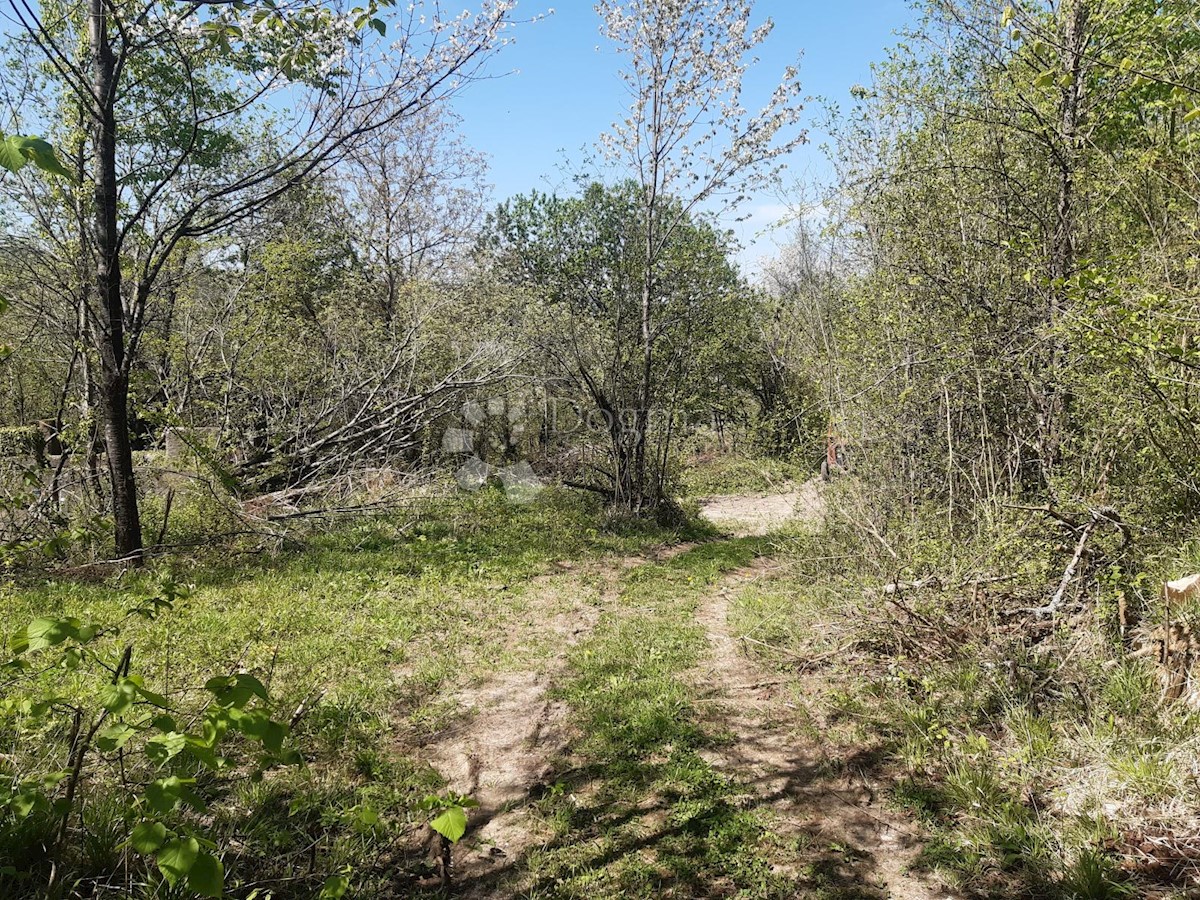 Parcela Na predaj - KARLOVAČKA PLAŠKI