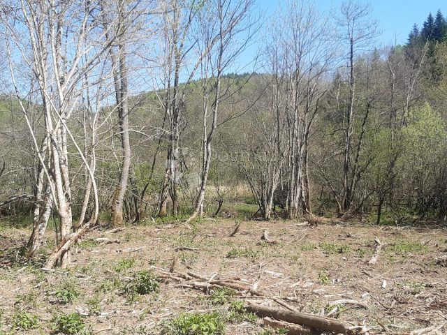 Pozemek na prodej 4793 m² – Kunić
