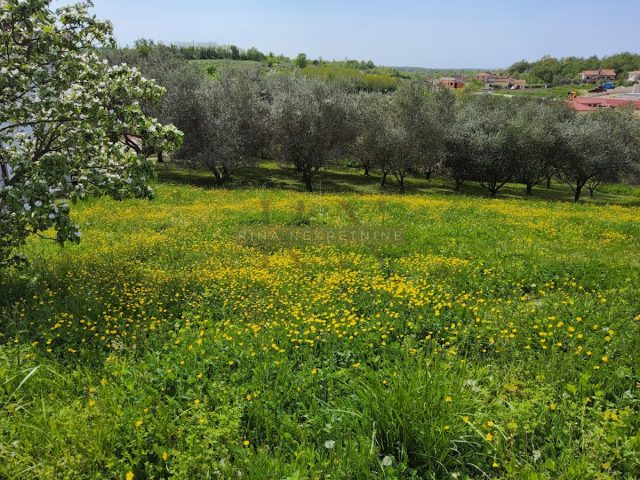 Parcela Naprodaj - Istarska Vižinada - foto 2/5