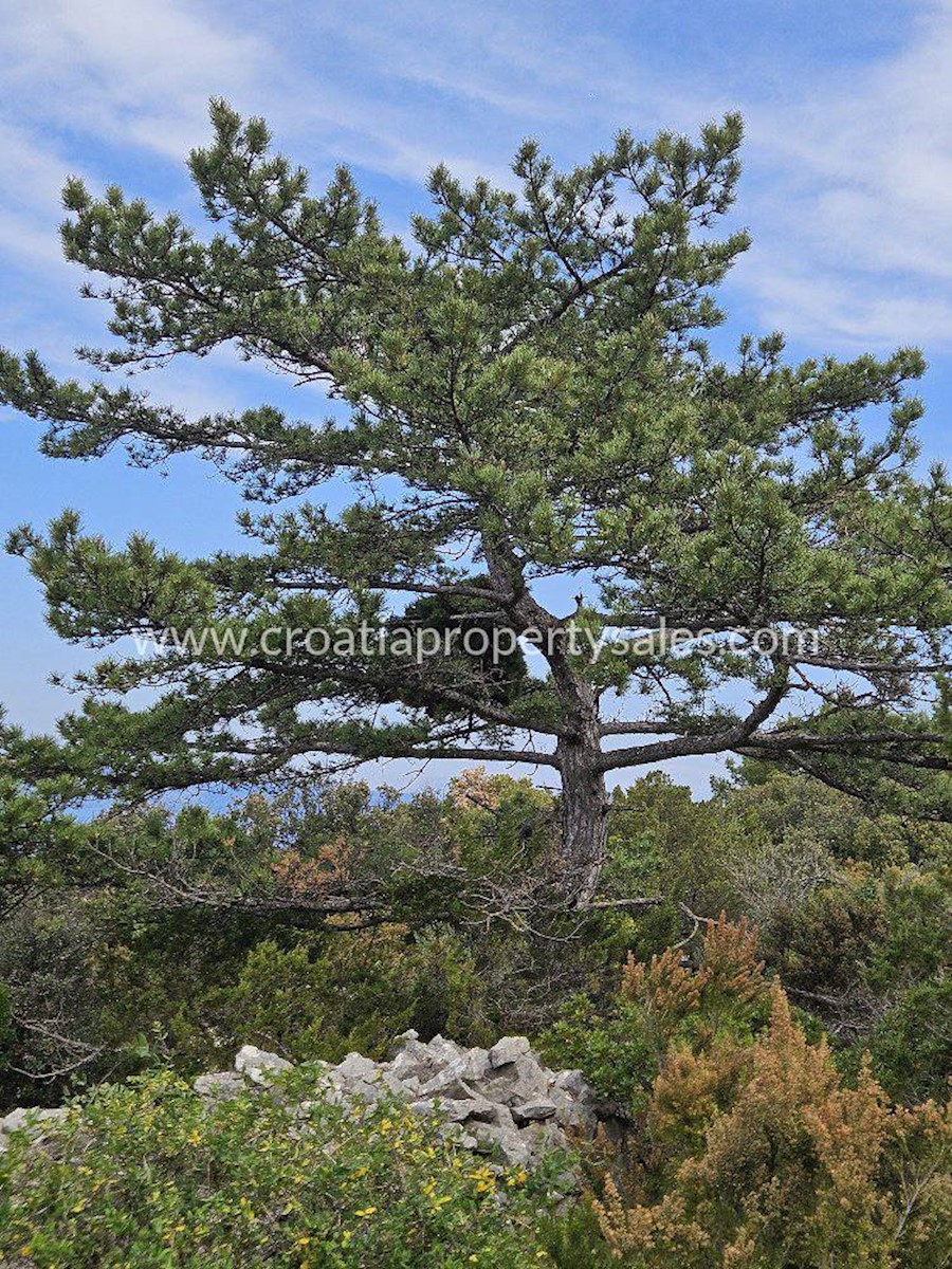 Terreno In vendita - SPLITSKO-DALMATINSKA HVAR