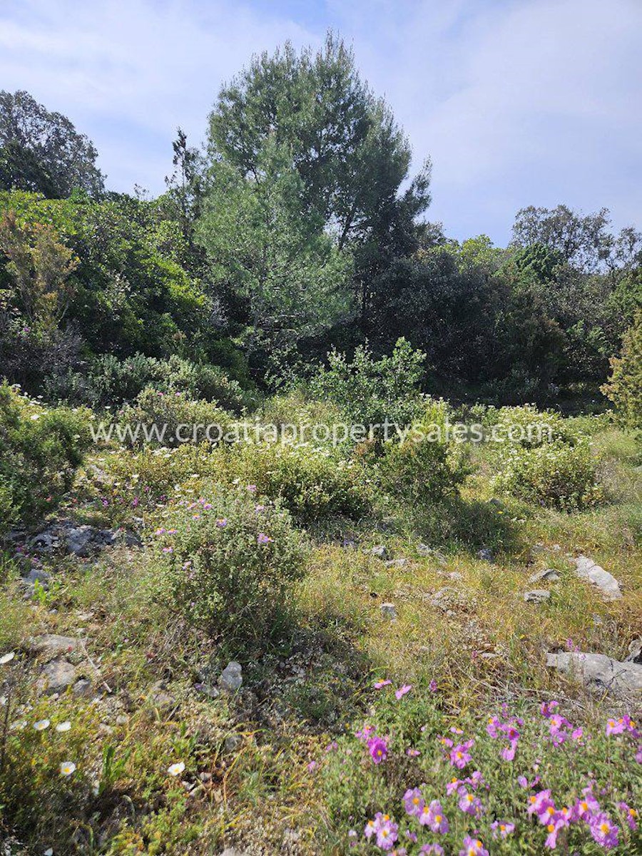 Terreno In vendita - SPLITSKO-DALMATINSKA HVAR