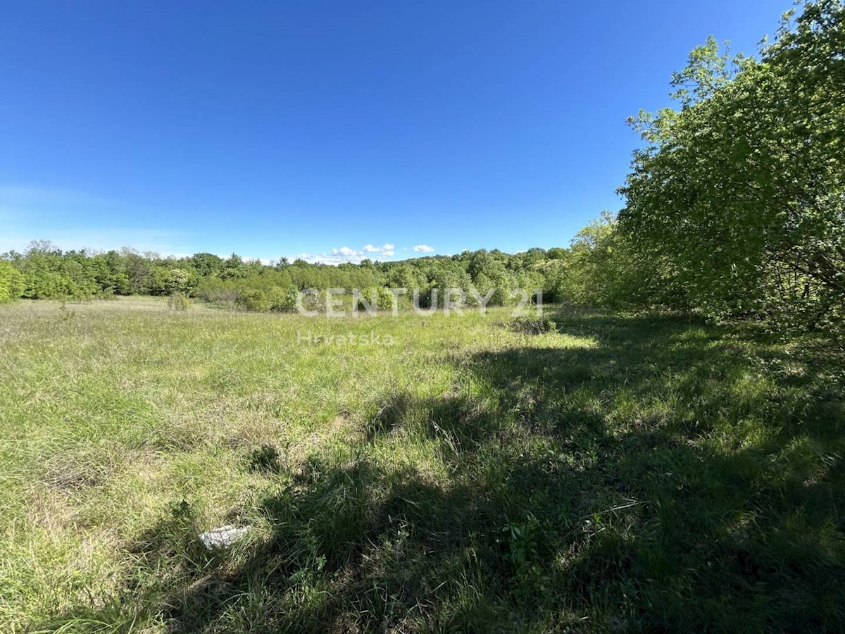 Land For sale - ISTARSKA KAROJBA