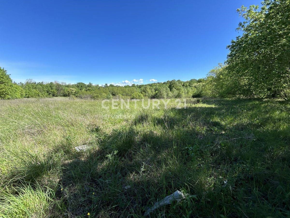 Land For sale - ISTARSKA KAROJBA