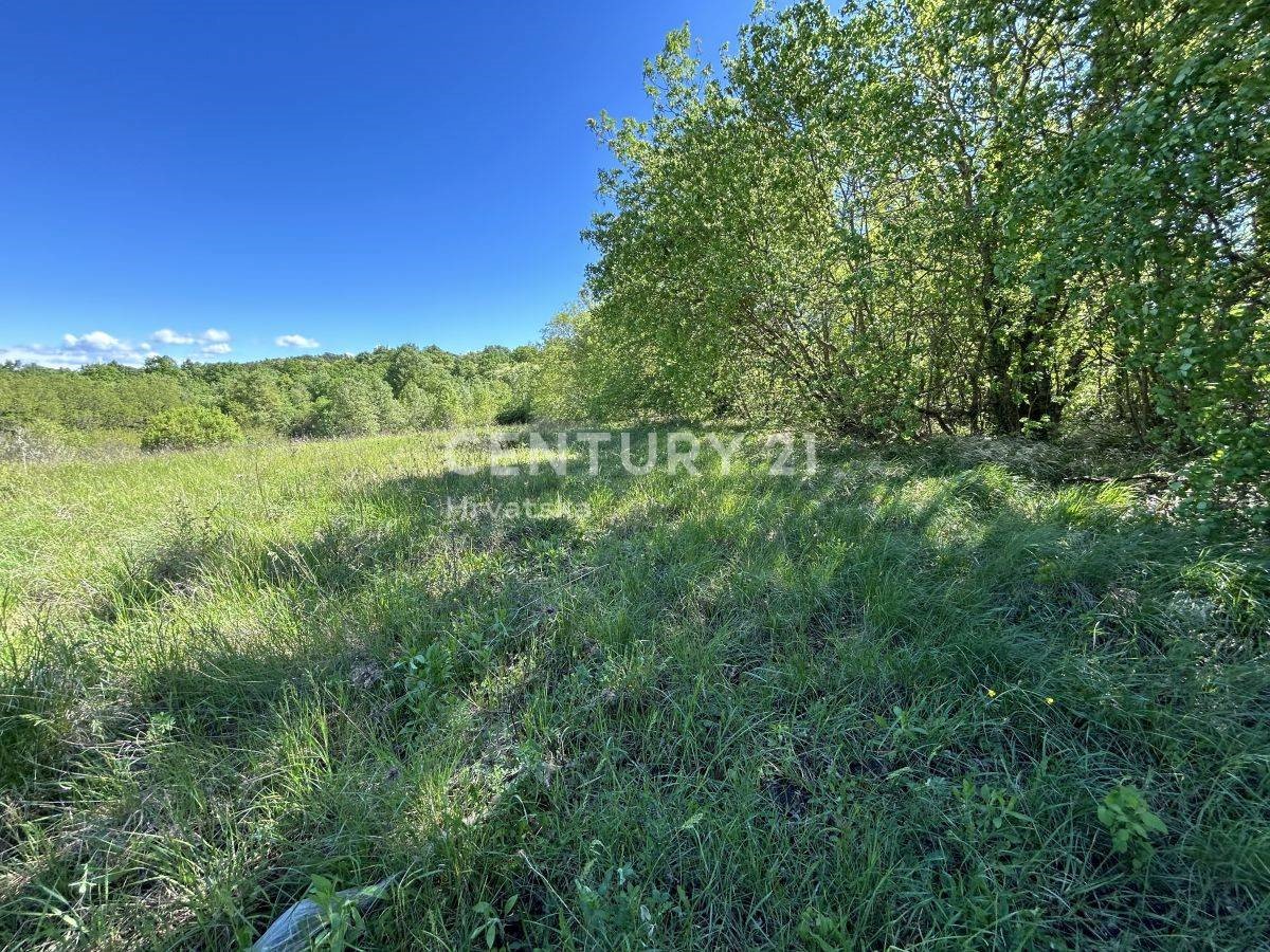 Land For sale - ISTARSKA KAROJBA