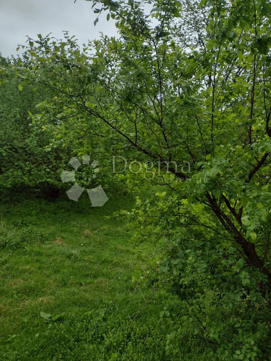 Dom Na predaj - SISAČKO-MOSLAVAČKA TOPUSKO
