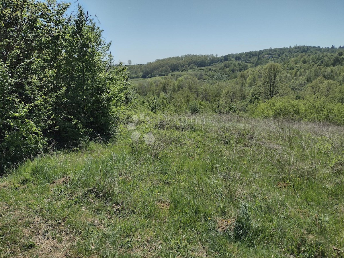 Land For sale - SISAČKO-MOSLAVAČKA GVOZD