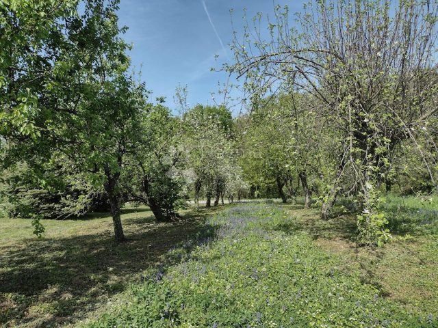 Kuća Na prodaju - Bjelovarsko-bilogorska Berek - foto 3/18