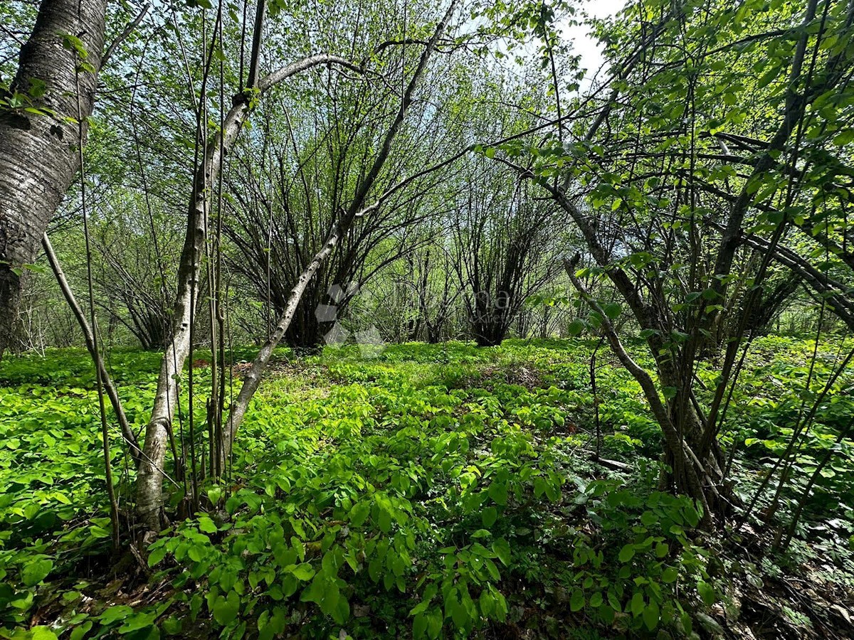 Zemljište Na prodaju - KARLOVAČKA KARLOVAC