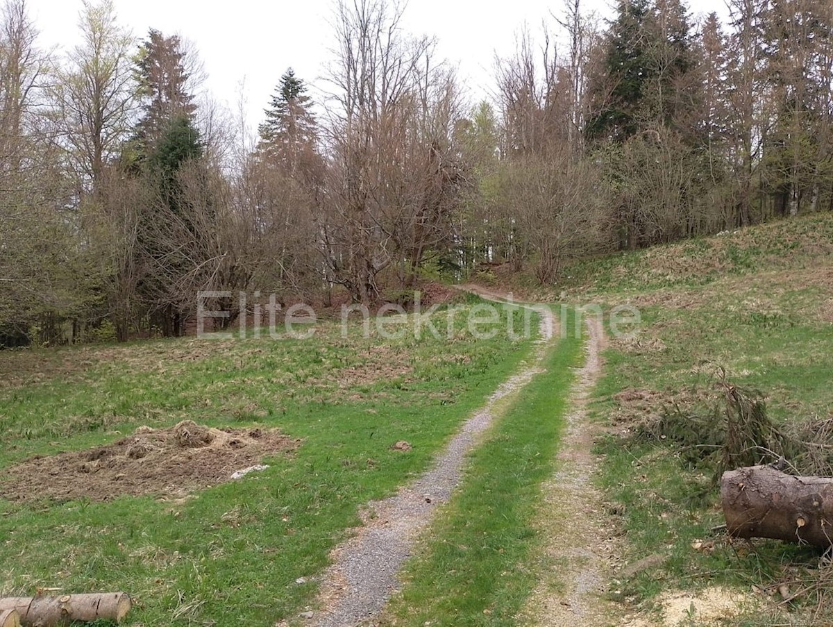 Zemljište Na prodaju - PRIMORSKO-GORANSKA DELNICE