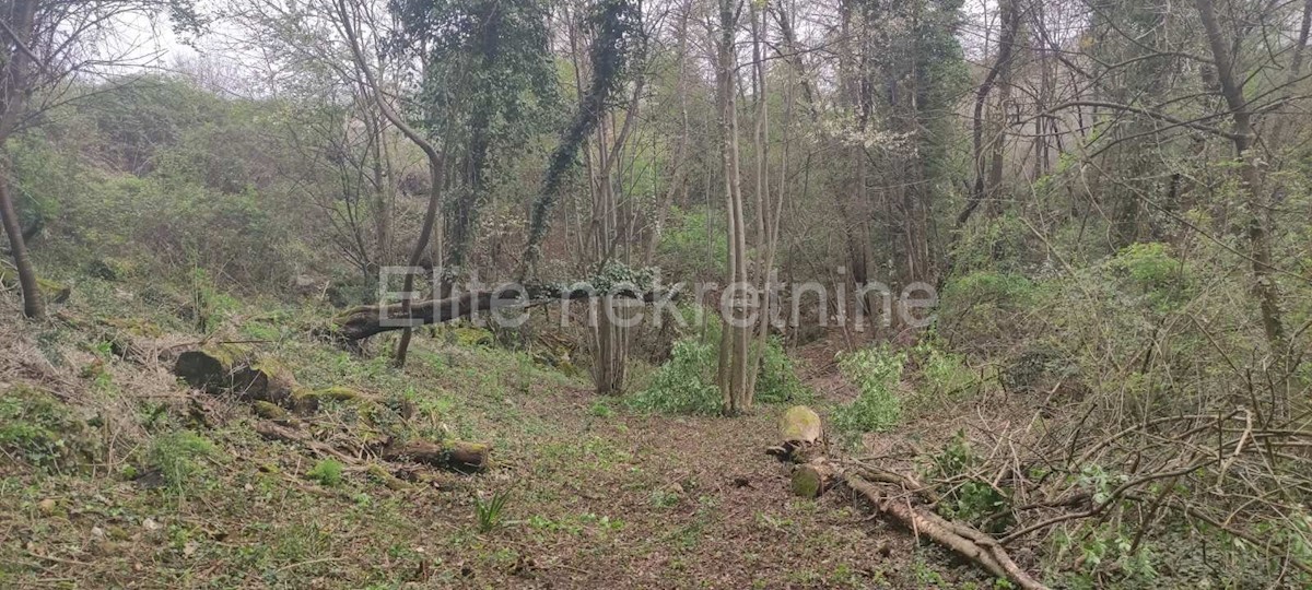 Land For sale - Primorsko-goranska Viškovo