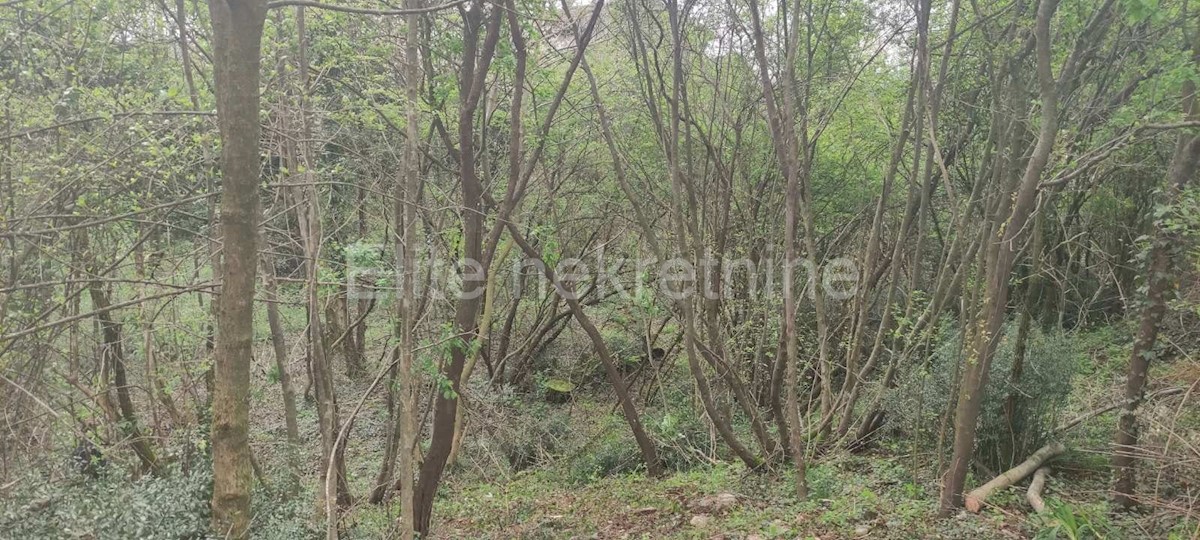 Land For sale - Primorsko-goranska Viškovo