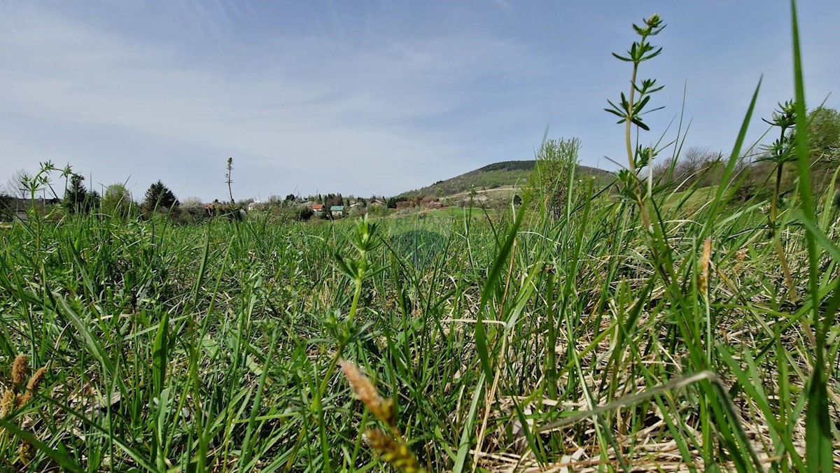 Terreno In vendita