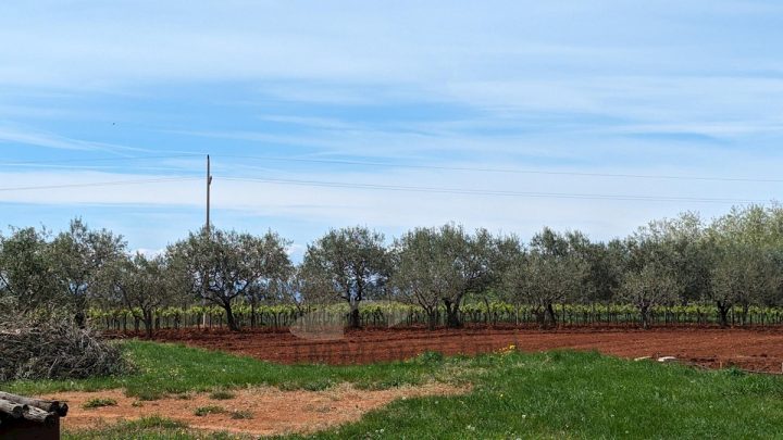 Zemljište na prodaju 750 m² – Kaštelir