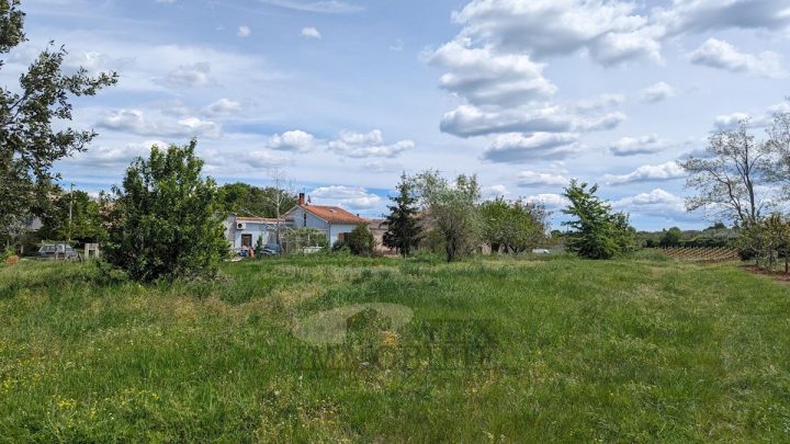 Parcela Naprodaj - Istarska Kaštelir - foto 3/3