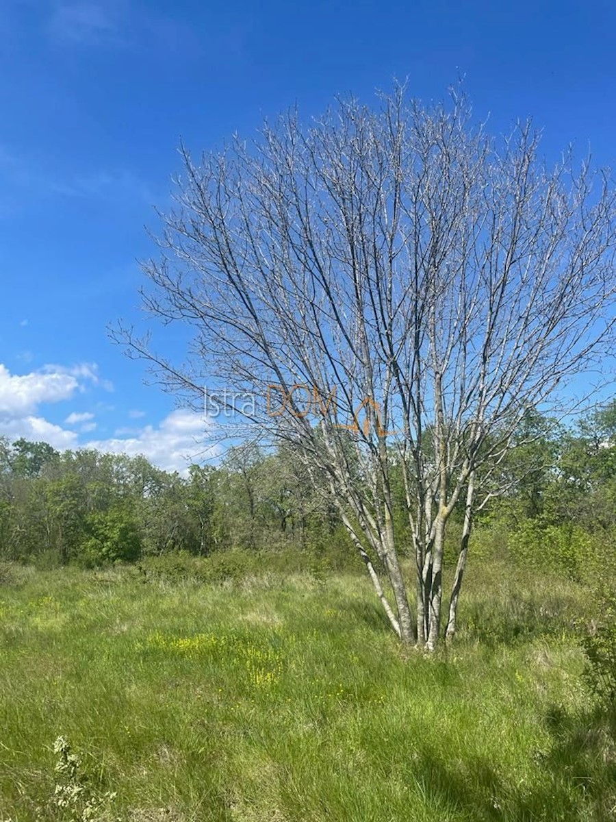 Terreno In vendita