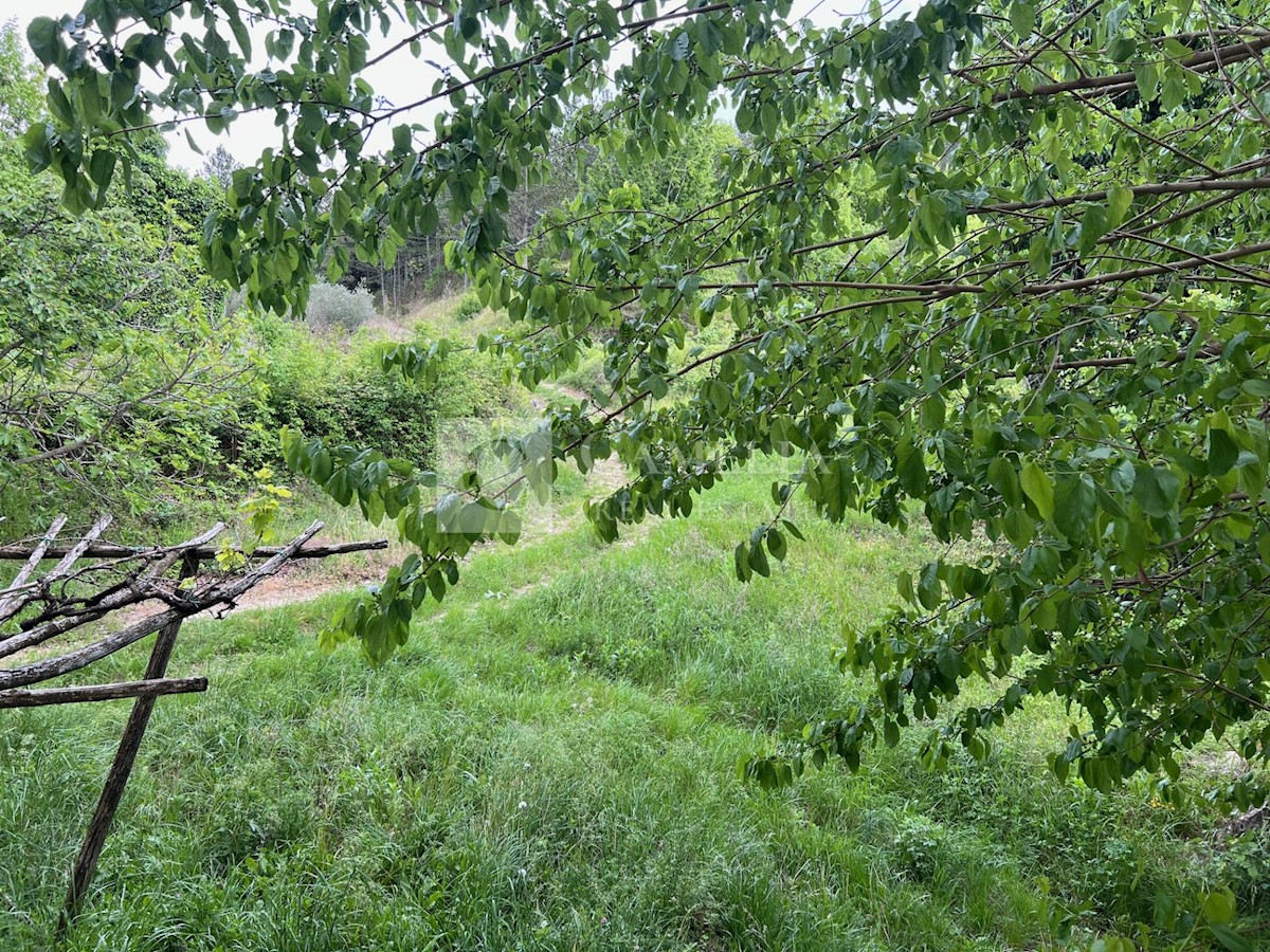 Dom Na predaj - ISTARSKA Motovun