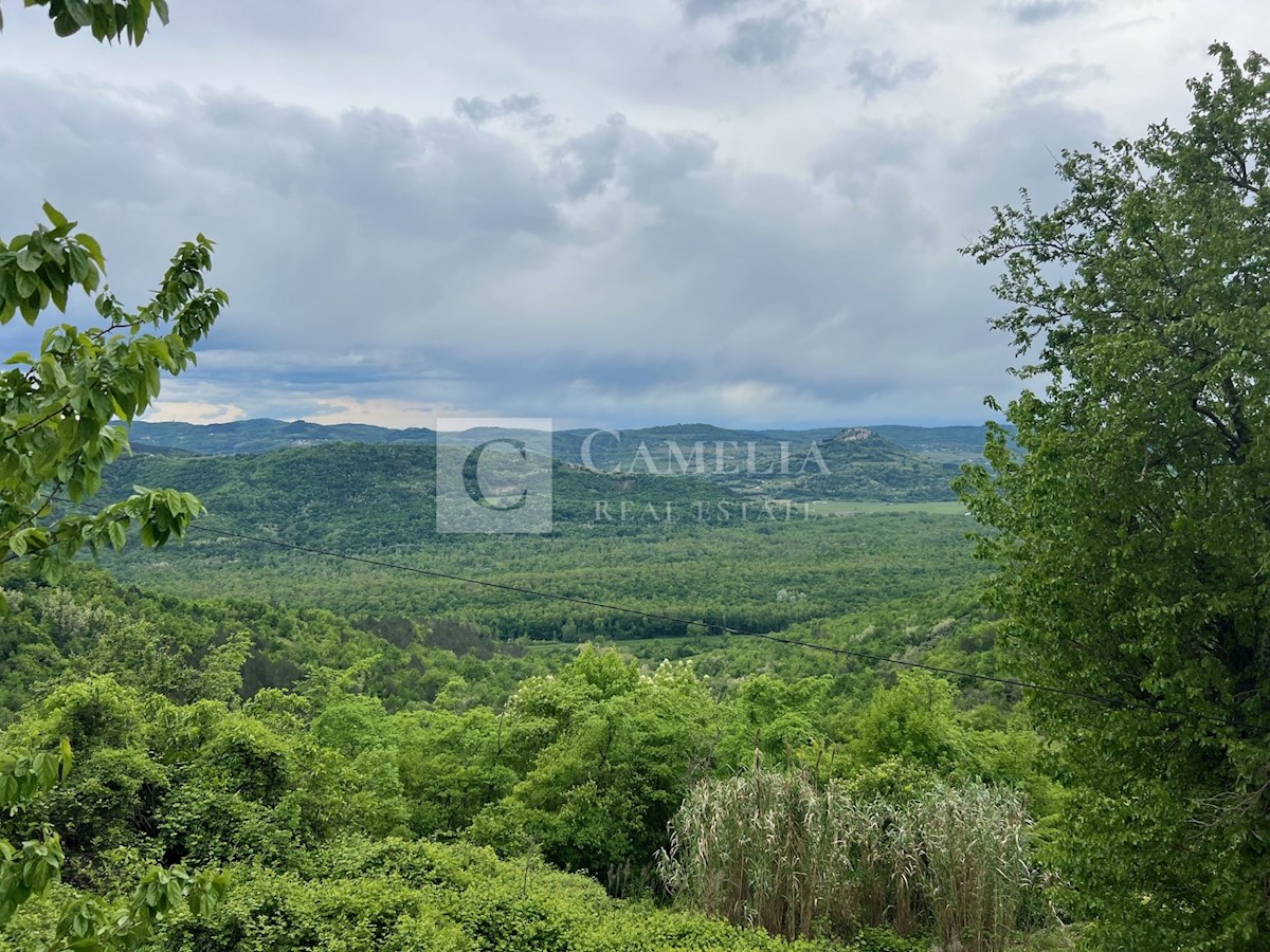 Maison À vendre - Istarska Motovun - foto 5/15