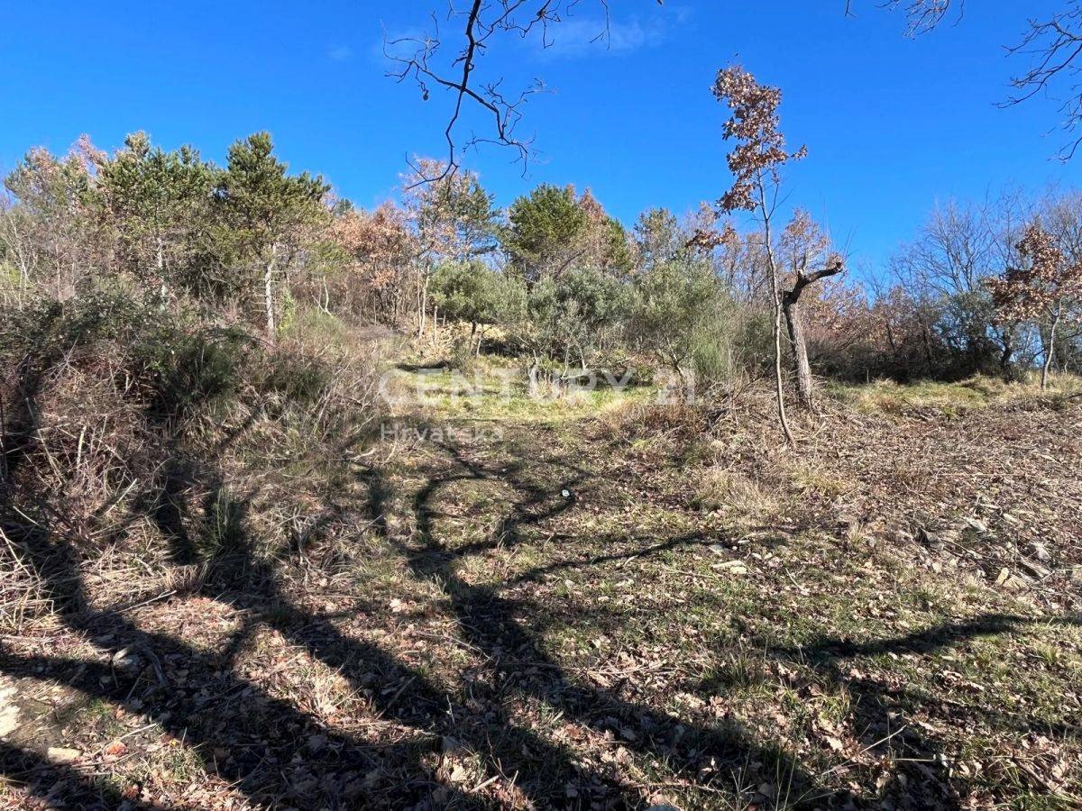 Terreno In vendita - ISTARSKA GROŽNJAN