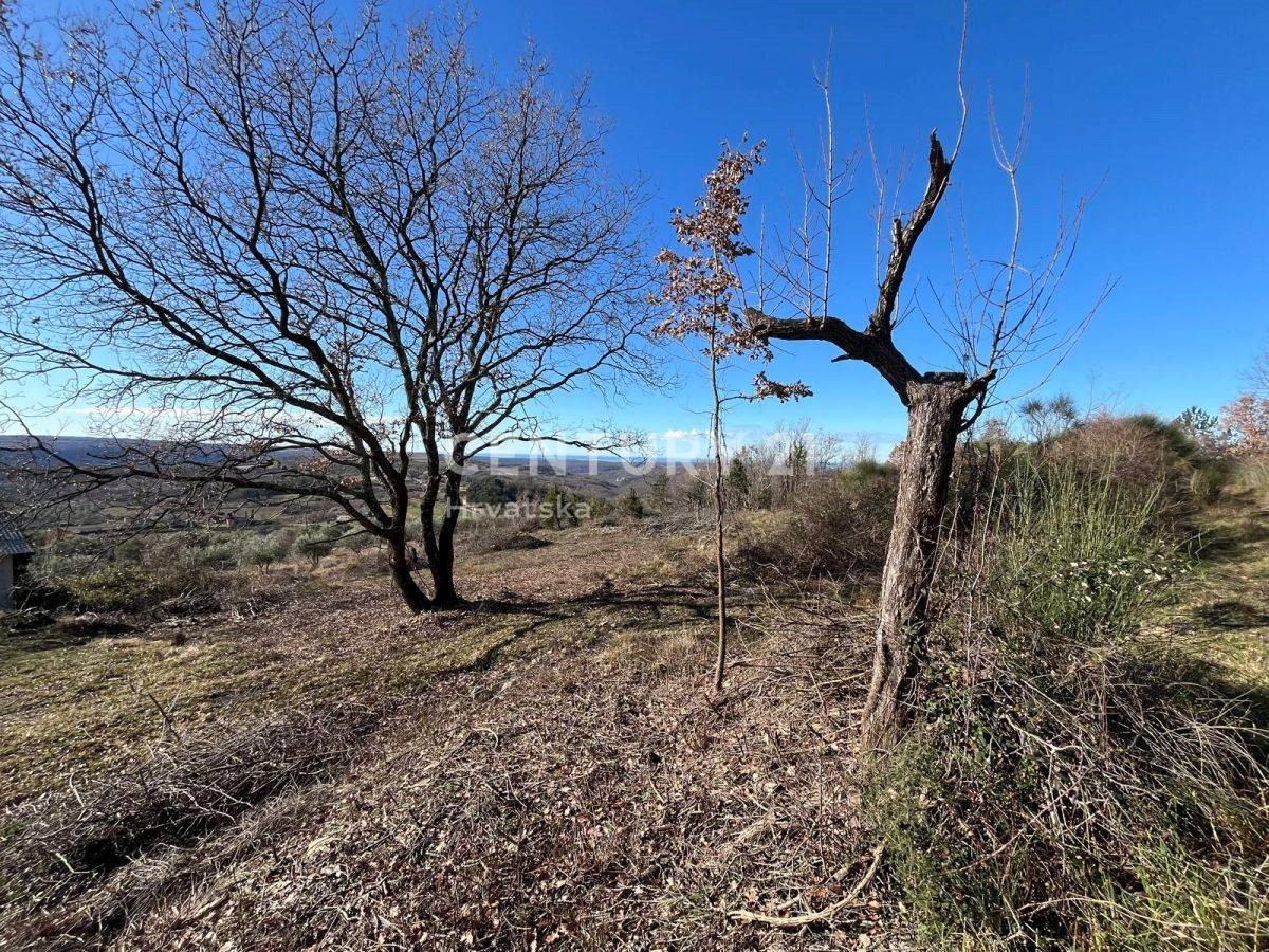 Terreno In vendita - ISTARSKA GROŽNJAN