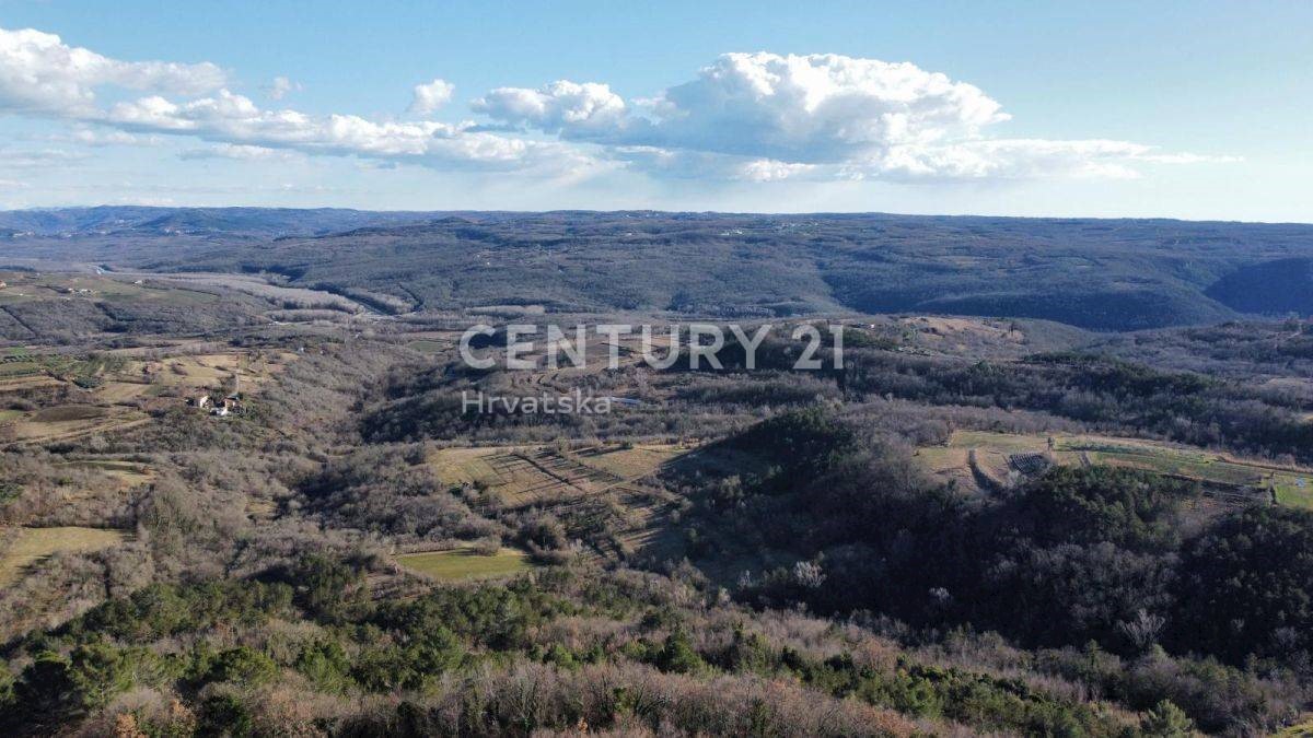 Terreno In vendita - ISTARSKA GROŽNJAN